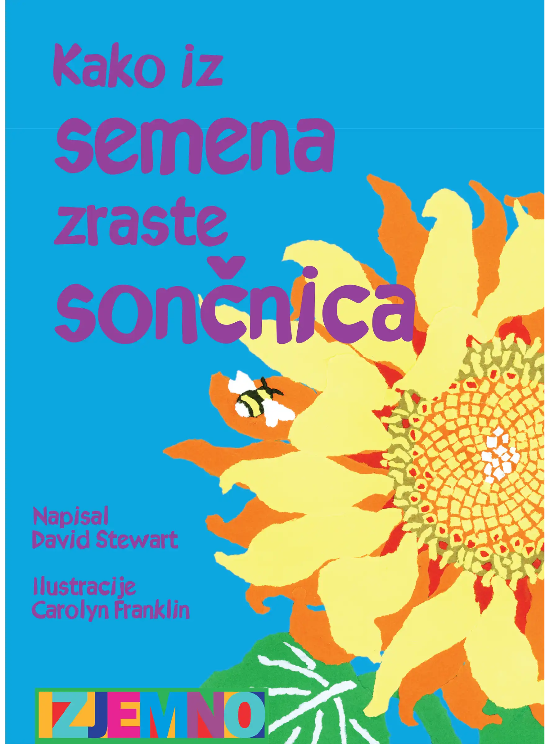 KAKO IZ SEMENA ZRASTE SONČNICA